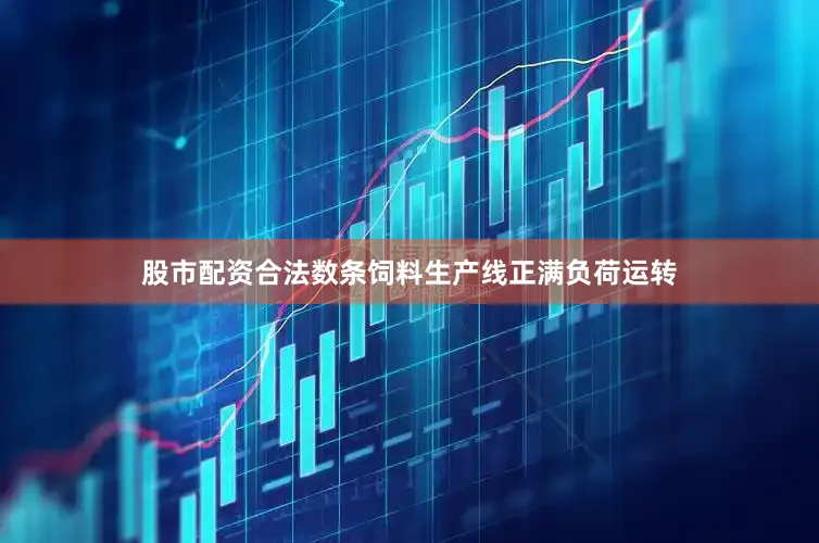 股市配资合法数条饲料生产线正满负荷运转
