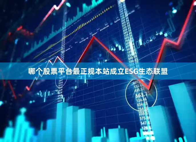 哪个股票平台最正规本站成立ESG生态联盟