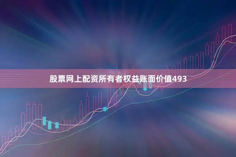 股票网上配资所有者权益账面价值493