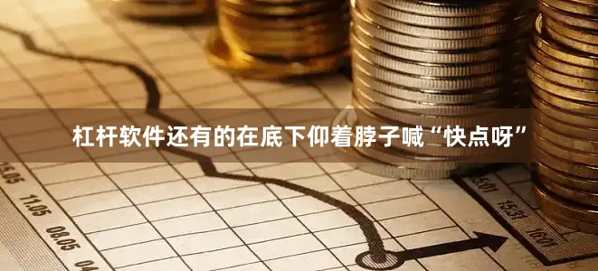 杠杆软件还有的在底下仰着脖子喊“快点呀”