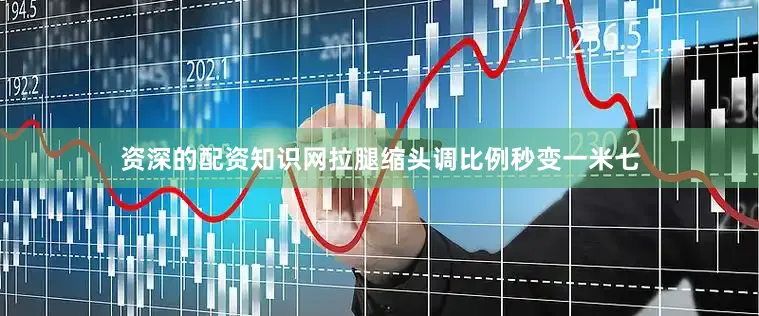 资深的配资知识网拉腿缩头调比例秒变一米七